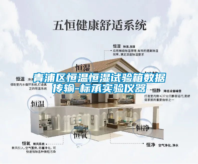 青浦區(qū)恒溫恒濕試驗箱數據傳輸-標承實驗儀器