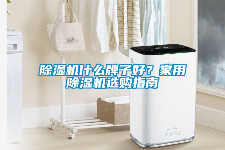 除濕機(jī)什么牌子好？家用除濕機(jī)選購(gòu)指南