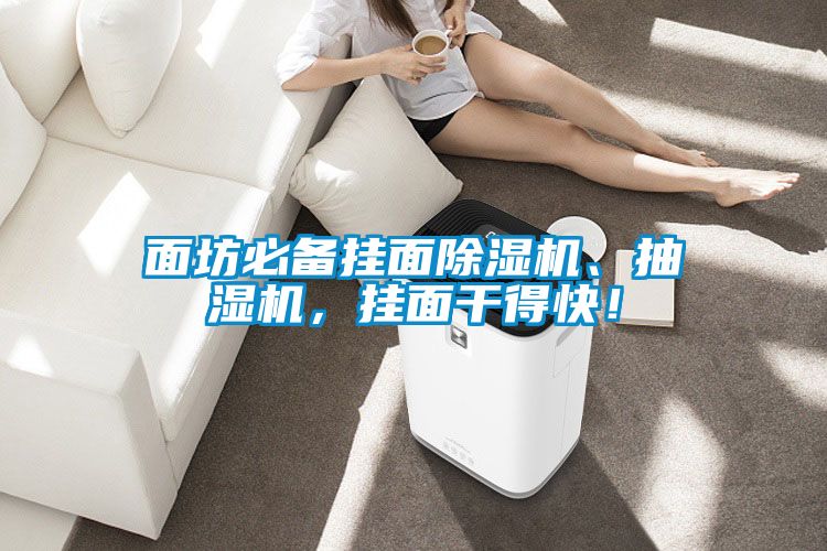 面坊必備掛面除濕機、抽濕機，掛面干得快！
