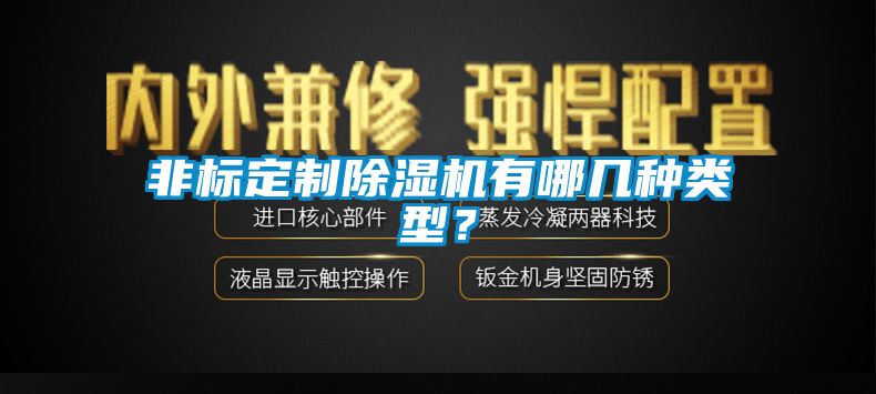 非標(biāo)定制除濕機(jī)有哪幾種類型？