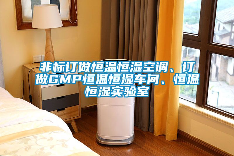 非標訂做恒溫恒濕空調、訂做GMP恒溫恒濕車間、恒溫恒濕實驗室