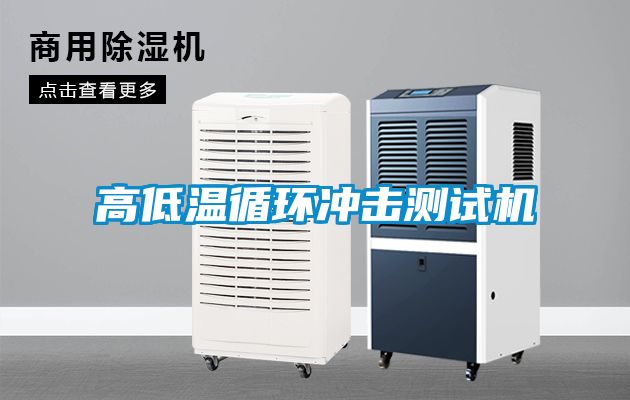 高低溫循環(huán)沖擊測試機