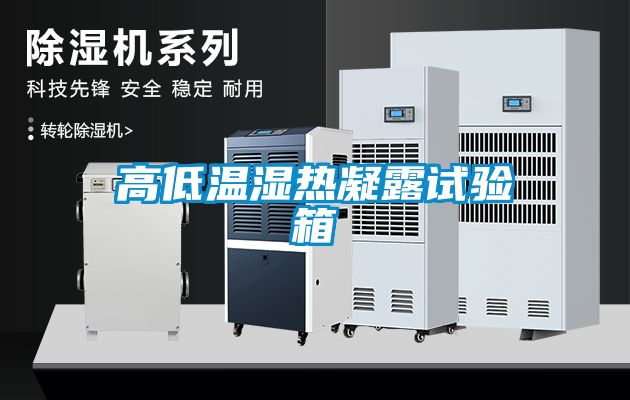 高低溫濕熱凝露試驗箱