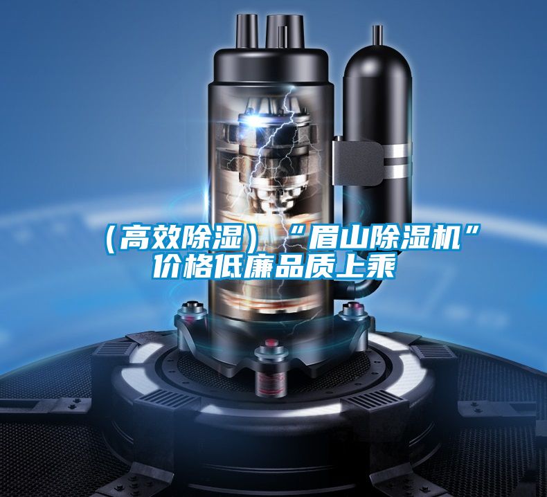 （高效除濕）“眉山除濕機”價格低廉品質(zhì)上乘