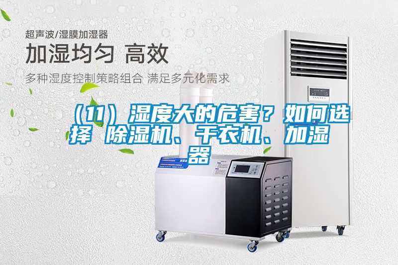 （11）濕度大的危害？如何選擇 除濕機(jī)、干衣機(jī)、加濕器