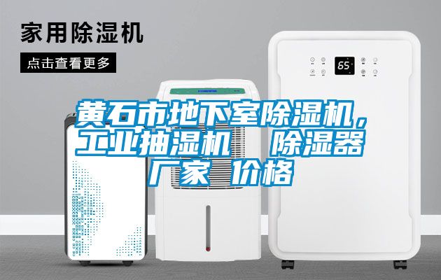 黃石市地下室除濕機(jī)，工業(yè)抽濕機(jī)  除濕器廠家 價(jià)格