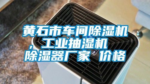 黃石市車間除濕機(jī)，工業(yè)抽濕機(jī)  除濕器廠家 價(jià)格