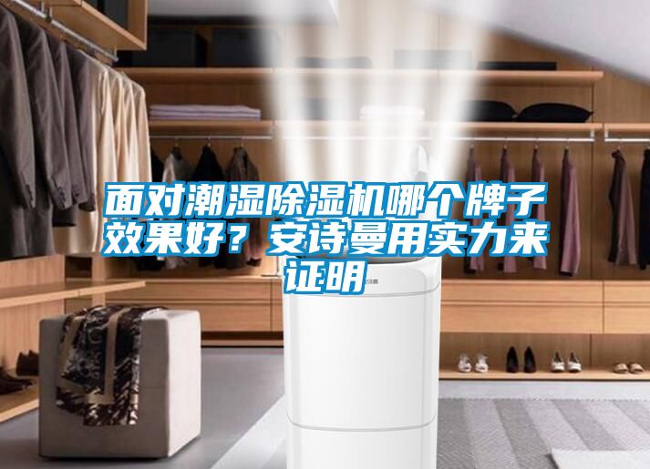 面對潮濕除濕機哪個牌子效果好？安詩曼用實力來證明