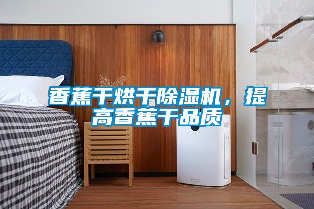 香蕉干烘干除濕機(jī)，提高香蕉干品質(zhì)