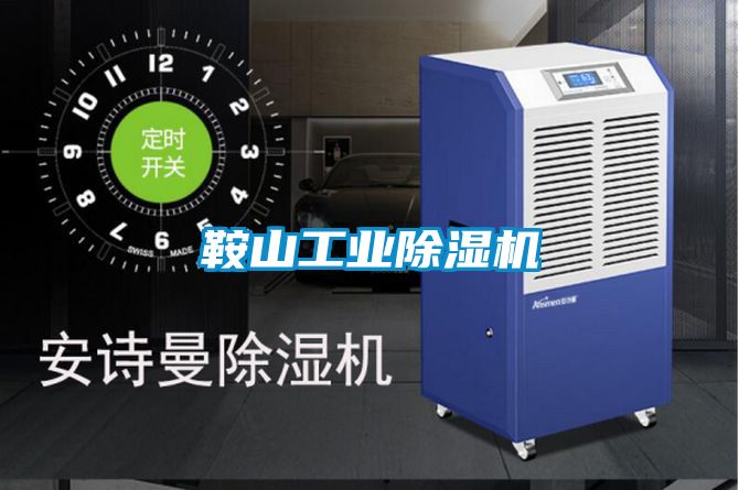 鞍山工業(yè)除濕機(jī)