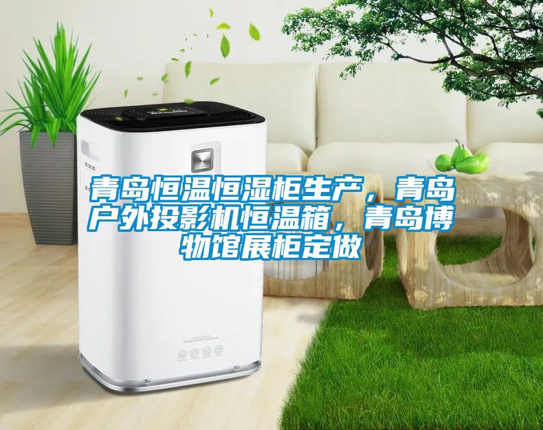 青島恒溫恒濕柜生產(chǎn)，青島戶外投影機(jī)恒溫箱，青島博物館展柜定做