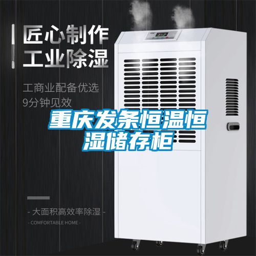 重慶發(fā)條恒溫恒濕儲(chǔ)存柜