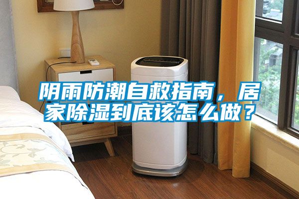 陰雨防潮自救指南，居家除濕到底該怎么做？