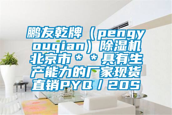 鵬友乾牌（pengyouqian）除濕機北京市＊＊具有生產能力的廠家現貨直銷PYQ／20S