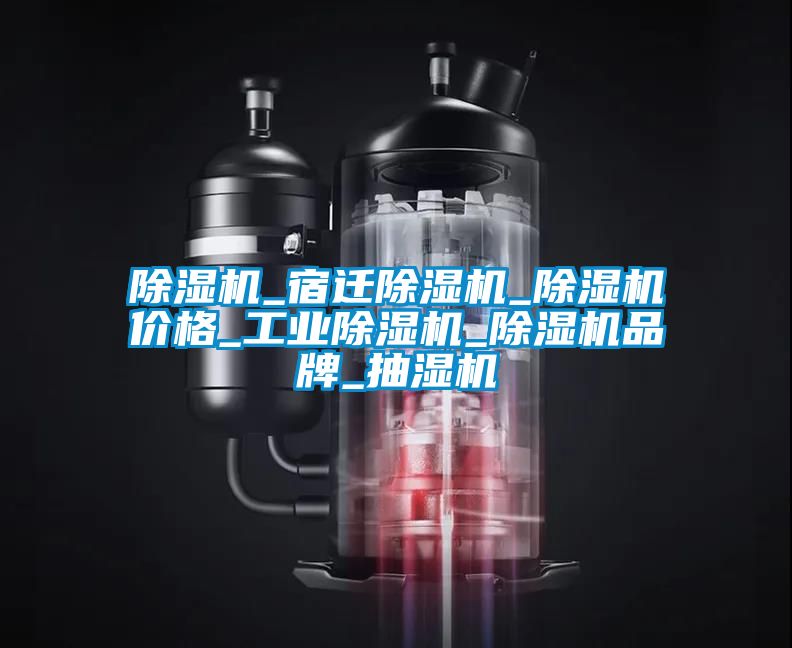 除濕機(jī)_宿遷除濕機(jī)_除濕機(jī)價格_工業(yè)除濕機(jī)_除濕機(jī)品牌_抽濕機(jī)