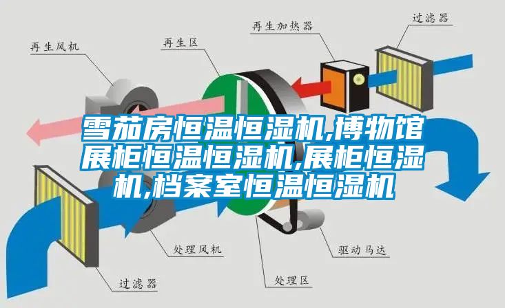雪茄房恒溫恒濕機(jī),博物館展柜恒溫恒濕機(jī),展柜恒濕機(jī),檔案室恒溫恒濕機(jī)
