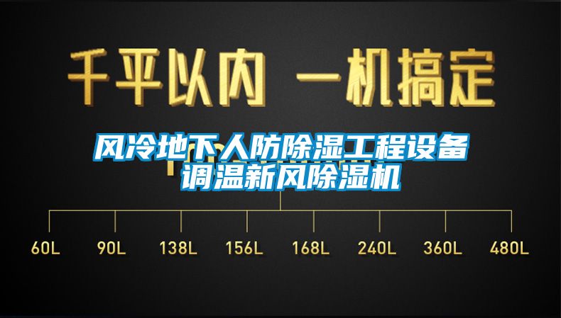 風冷地下人防除濕工程設備 調(diào)溫新風除濕機