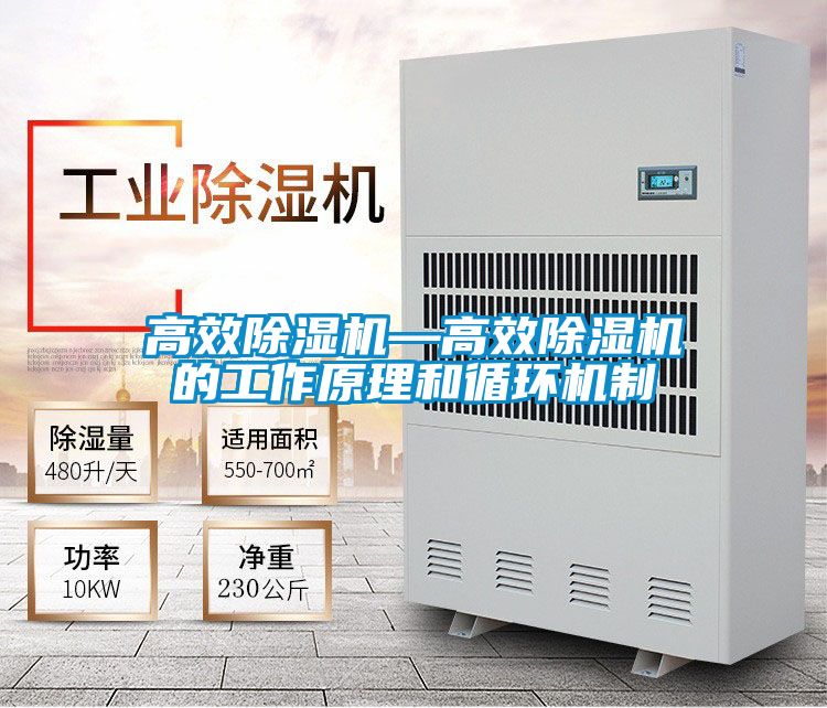 高效除濕機(jī)—高效除濕機(jī)的工作原理和循環(huán)機(jī)制