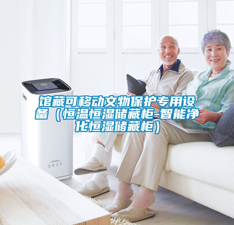 館藏可移動(dòng)文物保護(hù)專用設(shè)備（恒溫恒濕儲藏柜-智能凈化恒濕儲藏柜）