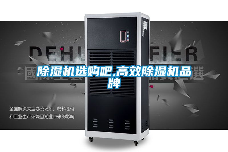 除濕機(jī)選購吧,高效除濕機(jī)品牌