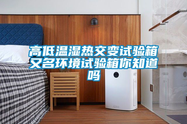 高低溫濕熱交變試驗箱又名環(huán)境試驗箱你知道嗎