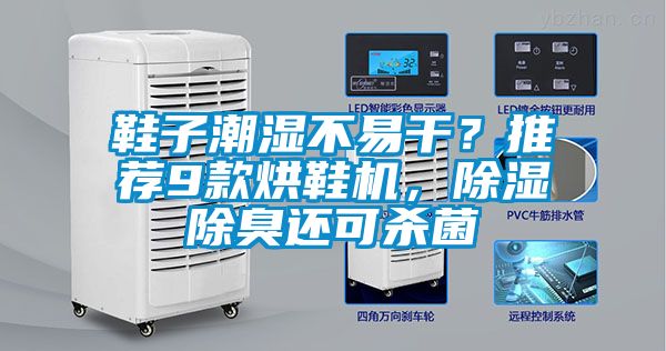 鞋子潮濕不易干？推薦9款烘鞋機，除濕除臭還可殺菌