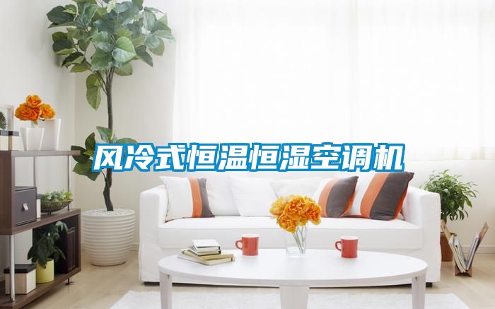 風(fēng)冷式恒溫恒濕空調(diào)機(jī)