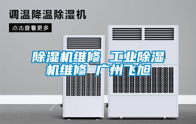 除濕機維修 工業(yè)除濕機維修 廣州飛旭