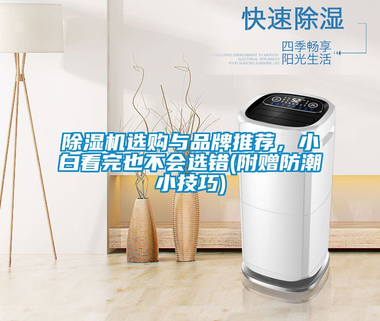 除濕機選購與品牌推薦，小白看完也不會選錯(附贈防潮小技巧)