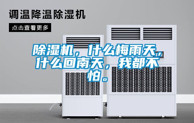 除濕機，什么梅雨天，什么回南天，我都不怕。