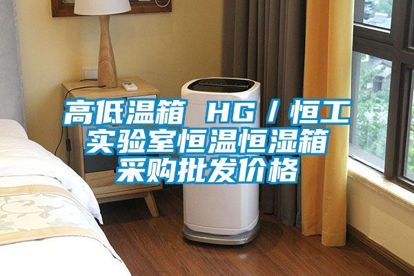 高低溫箱 HG／恒工 實(shí)驗(yàn)室恒溫恒濕箱 采購(gòu)批發(fā)價(jià)格