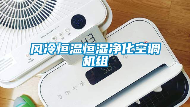 風(fēng)冷恒溫恒濕凈化空調(diào)機(jī)組