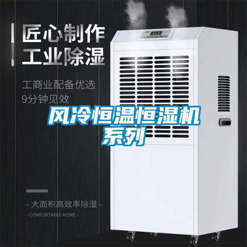 風(fēng)冷恒溫恒濕機(jī)系列