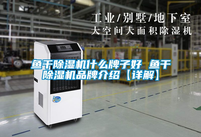 魚(yú)干除濕機(jī)什么牌子好 魚(yú)干除濕機(jī)品牌介紹【詳解】
