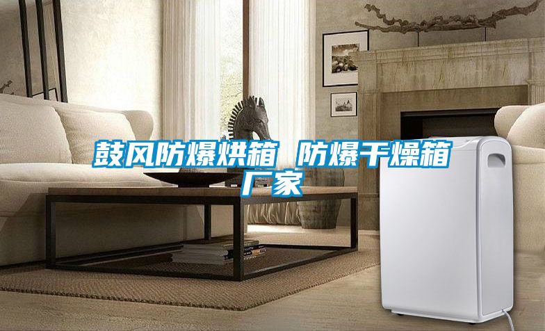鼓風(fēng)防爆烘箱 防爆干燥箱廠家