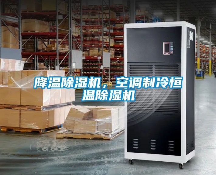 降溫除濕機(jī)，空調(diào)制冷恒溫除濕機(jī)
