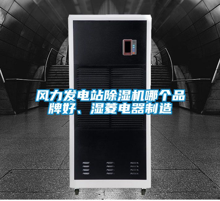 風(fēng)力發(fā)電站除濕機(jī)哪個(gè)品牌好、濕菱電器制造