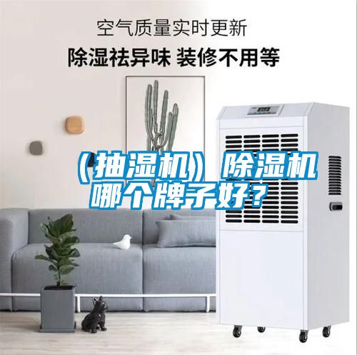 （抽濕機）除濕機哪個牌子好？