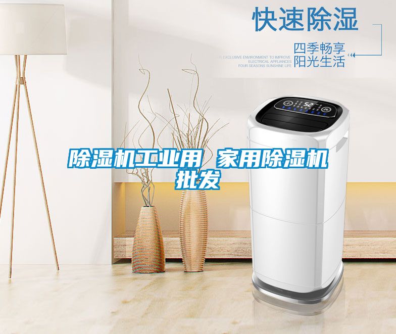 除濕機(jī)工業(yè)用 家用除濕機(jī)批發(fā)