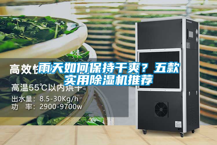雨天如何保持干爽？五款實用除濕機推薦
