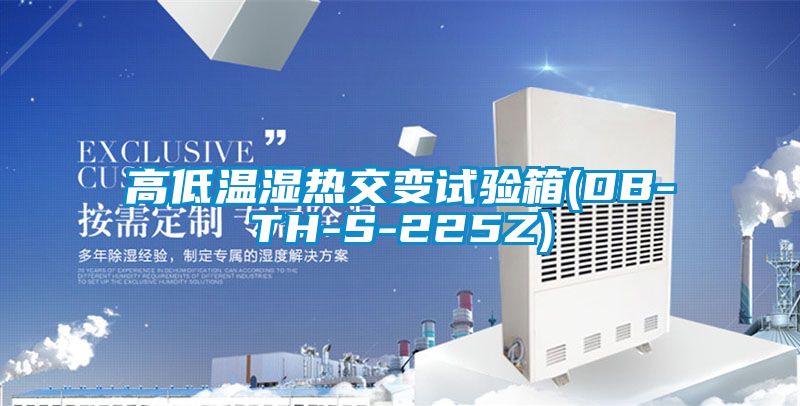 高低溫濕熱交變試驗箱(DB-TH-S-225Z)