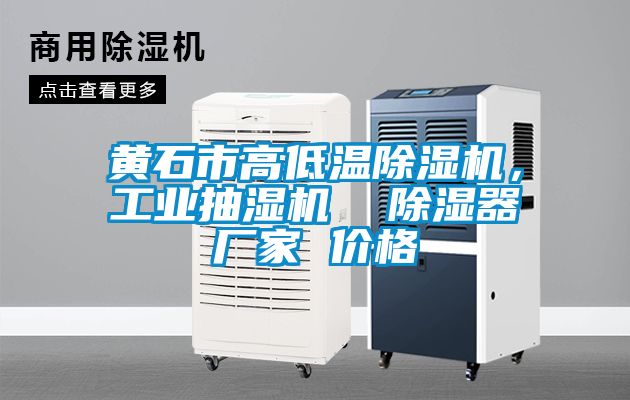 黃石市高低溫除濕機(jī)，工業(yè)抽濕機(jī)  除濕器廠家 價(jià)格