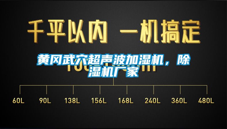 黃岡武穴超聲波加濕機(jī)，除濕機(jī)廠家