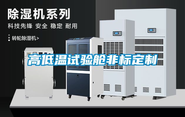 高低溫試驗(yàn)艙非標(biāo)定制