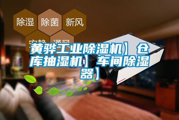 黃驊工業(yè)除濕機】倉庫抽濕機】車間除濕器】