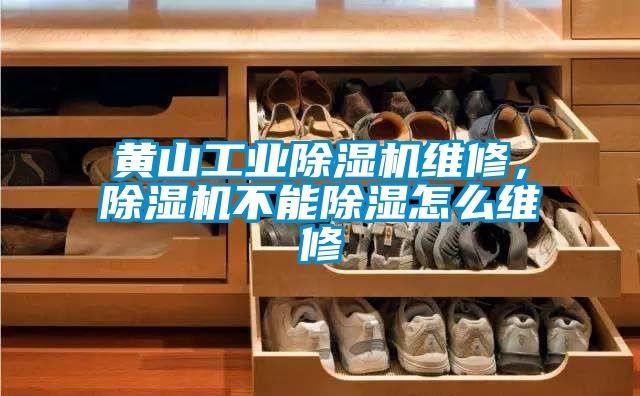 黃山工業(yè)除濕機(jī)維修，除濕機(jī)不能除濕怎么維修