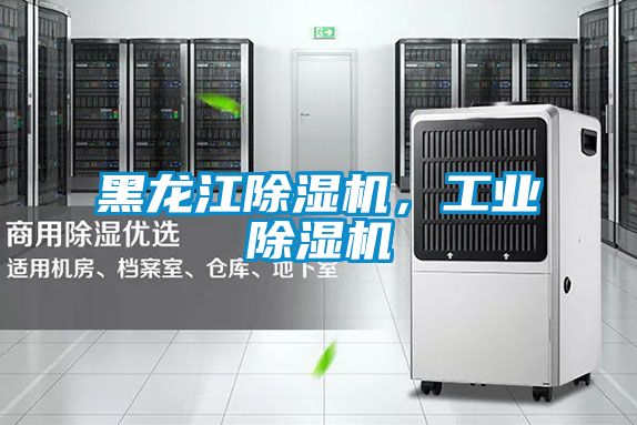 黑龍江除濕機(jī)，工業(yè)除濕機(jī)