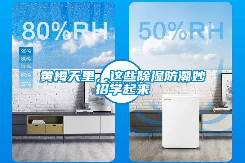 黃梅天里，這些除濕防潮妙招學(xué)起來
