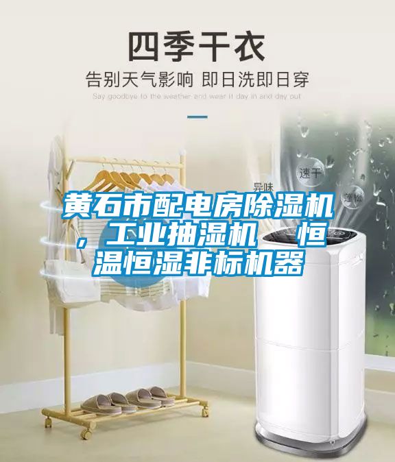 黃石市配電房除濕機(jī)，工業(yè)抽濕機(jī)  恒溫恒濕非標(biāo)機(jī)器
