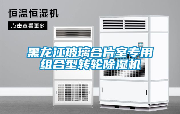 黑龍江玻璃合片室專用組合型轉(zhuǎn)輪除濕機